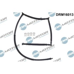 LIZARTE DRM16013 Bränsletrycksregulator PEUGEOT 206 Skåpbil