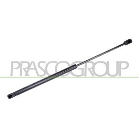 PRASCO FD4269055 Coffre à bagages FORD Focus 2 (DA_, HCP, DP) 1.6 90 CV Diesel