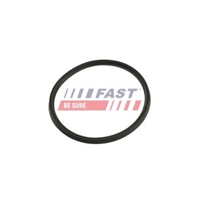 FAST FT48965 Retentor, tubo do ar de sobrealimentação NISSAN NV400