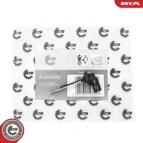 ESEN SKV 17SKV984 Außentemperatursensor SEAT Ibiza 4 Sportcoupe (6J1, 6P5) 1.4 75 PS Diesel