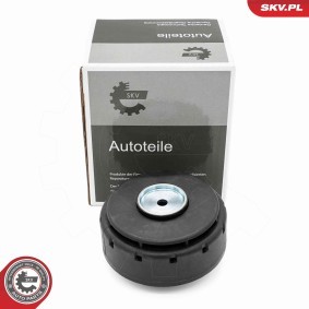 ESEN SKV 31SKV421 Reniflard d'huile MERCEDES-BENZ GLS