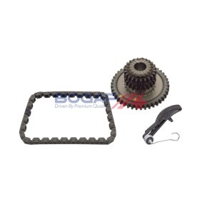 BOGAP A1328220 Cadena de distribución VW AMAROK