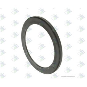 Kjøp Akseltetningsring, hovedaksel girkasse av Euroricambi 60531392 til den lave prisen 219,38&nbsp;kr