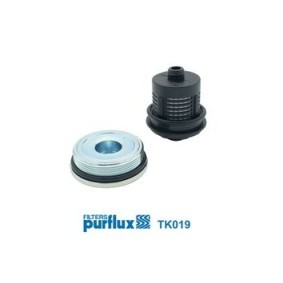 PURFLUX TK019 Piezas de diferencial AUDI A3