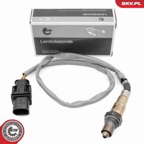 ESEN SKV 09SKV169 Kraftstoffdrucksensor RENAULT ESPACE 4 (JK0/1) 2.0 131 PS Diesel