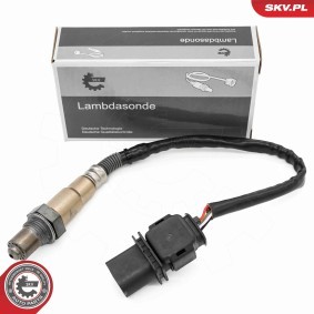 ESEN SKV 09SKV195 Kraftstoffdrucksensor RENAULT MEGANE 3 Grandtour (KZ0/1) 2.0 150 PS Diesel