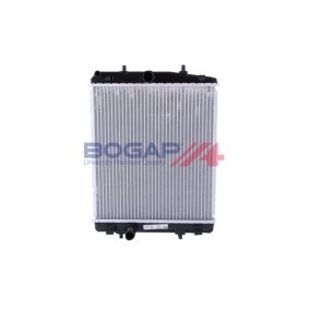 BOGAP P4210159 Ausgleichsbehälter CITROËN C1 (PM_, PN_)