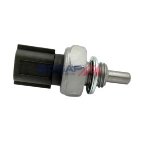 BOGAP R4126106 Circuito eléctrico do motor RENAULT WIND