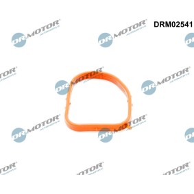 DR.MOTOR AUTOMOTIVE DRM02541 Guarnizione, flangia refrigerante MERCEDES-BENZ GL