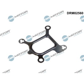 DR.MOTOR AUTOMOTIVE DRM02560 Kjølevæskeflens MAZDA 3