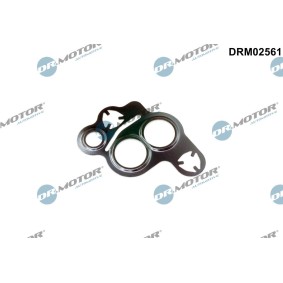 DR.MOTOR AUTOMOTIVE DRM02561 Junta de válvula egr FORD ECOSPORT