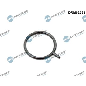 DR.MOTOR AUTOMOTIVE DRM02583 Oljetrykkventil MAZDA 6 Sedan (GJ, GL) 2.2 150 hk Diesel