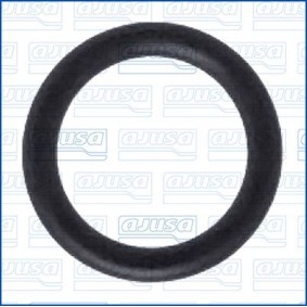 AJUSA 16009000 Dichtring, Ladeluftschlauch BMW Z3 Roadster (E36)