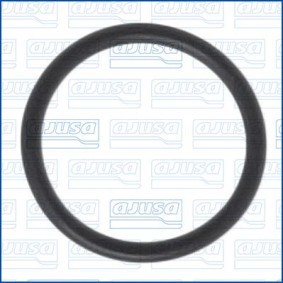 AJUSA 16018800 Junta, tubagem do líquido de refrigeração ROVER