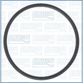 AJUSA 16020600 Junta, tubagem do líquido de refrigeração ROVER