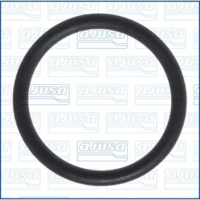AJUSA 16077900 Dichtung Thermostat  FIAT 500 (312)