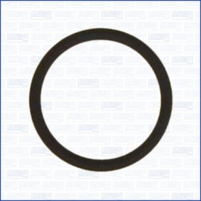 AJUSA 16090000 Dichtung Ölpumpe FORD TOURNEO COURIER