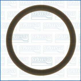Compre Junta, cabo da válvula do regulador de velocidade da AJUSA 16092300 a um preço baixo por 8,37&nbsp;&euro;