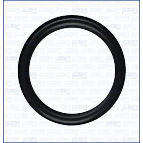 Compre Junta, cabo da válvula do regulador de velocidade da AJUSA 16108700 a um preço baixo por 5,85&nbsp;&euro;