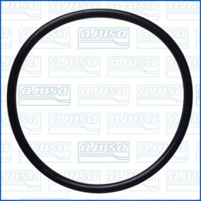 AJUSA 16119300 Joint pompe à eau OPEL VIVARO