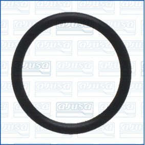 Kjøp Pakning, termostat av AJUSA 16122400 til den lave prisen 27,46&nbsp;kr