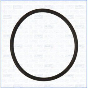 AJUSA 16507600 Junta de bomba de agua VW AMAROK