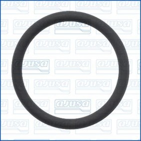 AJUSA 16532500 Junta, conduta de combustível NISSAN