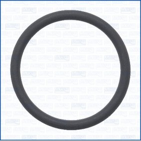 AJUSA 16558000 Dichtung, Kurbelgehäuseentlüftung FIAT