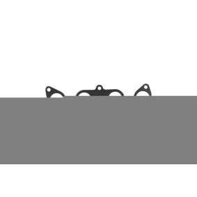 KAMOKA 8705053 Auspuffkrümmerdichtung FIAT PUNTO EVO (199)