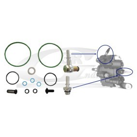 3RG 86624 Hochdruckpumpe RENAULT Megane IV Limousine