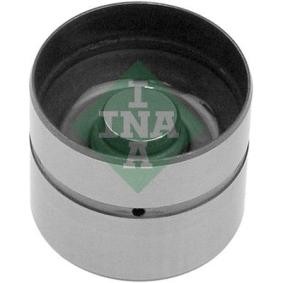 INA 420 0050 10 Taqués hidráulicos ROVER CABRIO