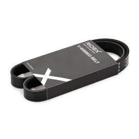 RIDEX 305P0838 Correia do alternador FORD ECOSPORT