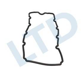 LTD LTD-55247838 Junta de tapa de valvulas MINI Hatchback (R50, R53) 1.6 90 cv Otto