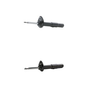 Compre Amortecedor da RIDEX 854S20319 a um preço baixo por 94,48&nbsp;&euro;