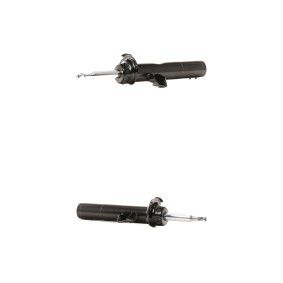 Compre Amortecedor da RIDEX 854S20325 a um preço baixo por 98,39&nbsp;&euro;