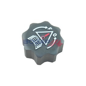 BOGAP P4211100 Ausgleichsbehälter CITROËN C2 Schrägheck (JM) 1.4 68 PS Diesel