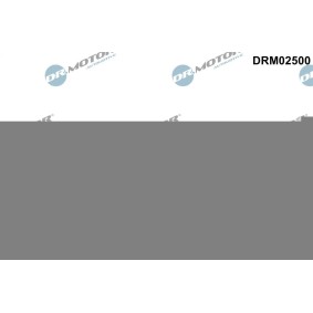 DR.MOTOR AUTOMOTIVE DRM02500 Kamaxel PEUGEOT 207 SW (WK_) 1.6 110 hk Bensinmotor