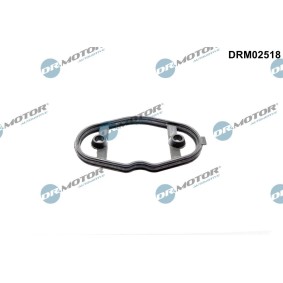 DR.MOTOR AUTOMOTIVE DRM02518 Kraftstoffpumpe BMW X1