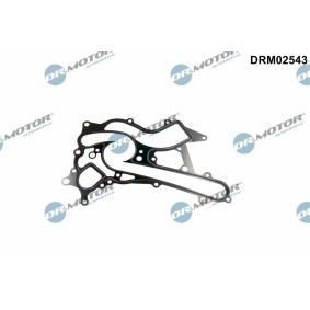 DR.MOTOR AUTOMOTIVE DRM02543 Guarnizione pompa acqua MERCEDES-BENZ GLS