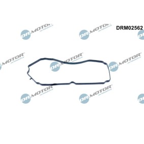 DR.MOTOR AUTOMOTIVE DRM02562 Veivhusventilasjon MAZDA 6 Station Wagon (GY) 2.3 162 hk Bensinmotor