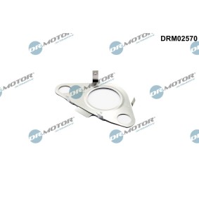DR.MOTOR AUTOMOTIVE DRM02570 Junta de válvula egr MINI Cabrio (R57) 1.6 112 cv Diesel
