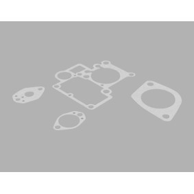 Repro-Auto RA-CASO-00022-CUV-S-N Vergaser und Einzelteile RENAULT CLIO 1 (B/C57, 5/357)