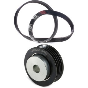 RIDEX 542R1353 Kit de correa de alternador SUZUKI SWIFT