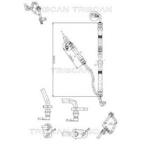 Comprar Manguera hidráulica de dirección de TRISCAN 8516 23001 a bajo precio de 105,12&nbsp;&euro;