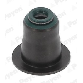 PAYEN HR5156 Retentor de válvula BMW i8