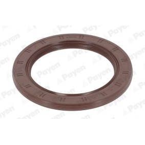 PAYEN NA5309 Kurbelwellensimmering RENAULT Megane 3 Schrägheck (BZ0/1_) 1.6 101 PS Otto