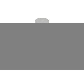 TOPRAN 701 657 Riemenscheibenschraube RENAULT CLIO 2 (BB0/1/2, CB0/1/2)