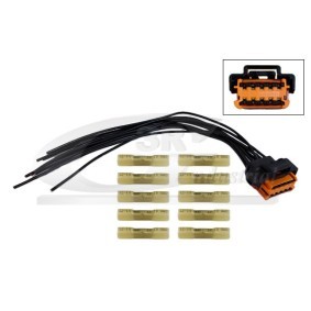 3RG 30244 Kabelbaum CITROËN C3 Picasso