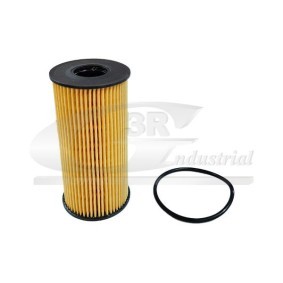 3RG 98602 Filtro olio RENAULT SCÉNIC IV (J9_) 1.6 130 CV Diesel