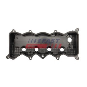 FAST FT00608 Zylinderkopf CITROËN C5 3 (RD)